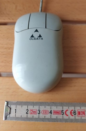 Maus olidata - maus,